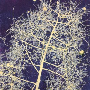 Margaret Peter, "Smoke Bush", monotype