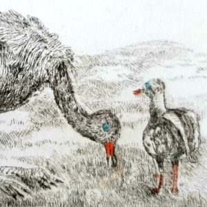 Maureen Steuart, etching