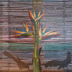 Eric Brittan, Bird of Paradise with bird shadows, painting