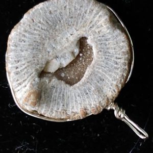 Janice Peshke, pendant