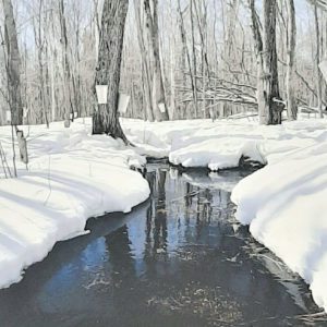 Paul Simon, photograph