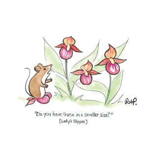 Rose-Anne-Prevec, cartoon of a mouse with Lady Slipper flowers